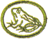 Anfibios