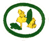 Arbustos