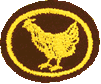 Avicultura