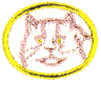 Gatos