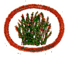 Gramíneas