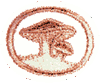 Hongos