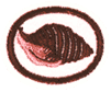 Moluscos 1