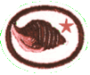Moluscos 2
