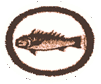 Peces