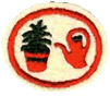 Plantas de Interior