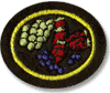 Cultivo de Frutas Pequeñas