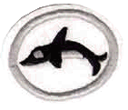 Mamíferos Marinos