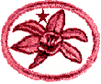 Orquídeas 2