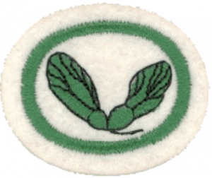 Semillas