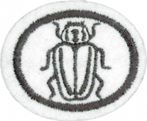 Insectos